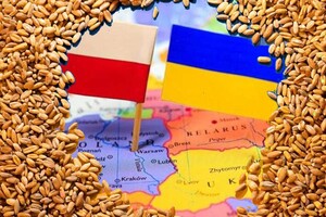 Зерновий конфлікт Польщі та України. Щось тут не так