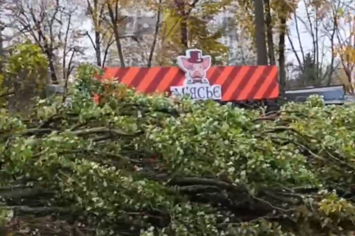 У Києві дерево розчавило кіоск із людьми (відео)