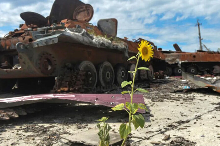 Російська війна завдала непоправних збитків довкіллю України. Сума вражає