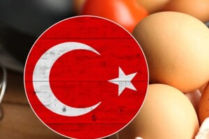 Туреччина вирішила підзаробити на продуктовій кризі у Росії