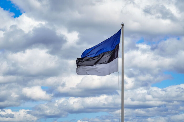Естонія розробила план стратегії Заходу для перемоги України