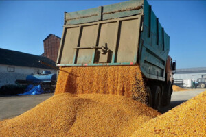 Молдова надала велику знижку на транзит українського зерна до кінця року