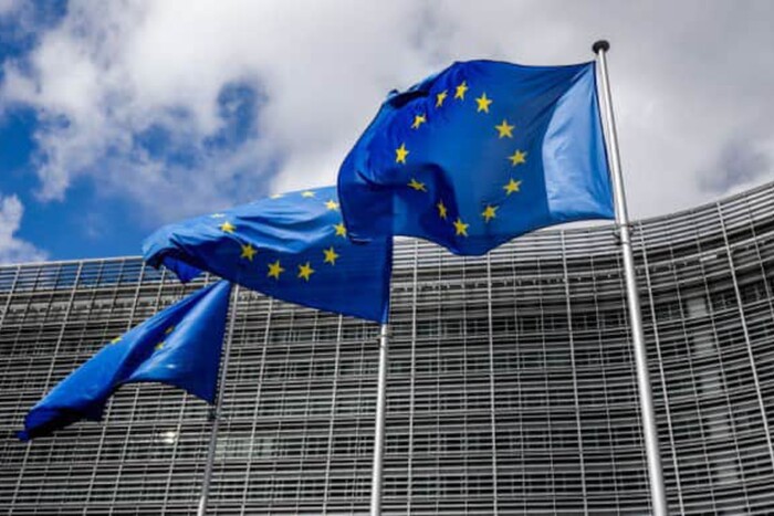 Представниця дипломатичної служби ЄС прокоментувала відставку Залужного