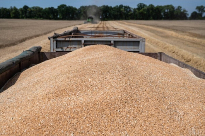 Одна з країн ЄС першою забороняє імпорт агротоварів з Росії та Білорусі