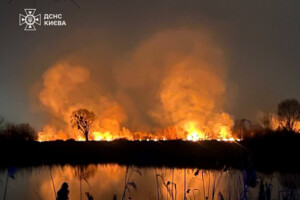 Поблизу озера Тягле на відкритій території сталося загорання сухої трави та очерету