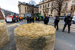 Чеські фермери викинули гній перед будівлею уряду в Празі на знак протесту