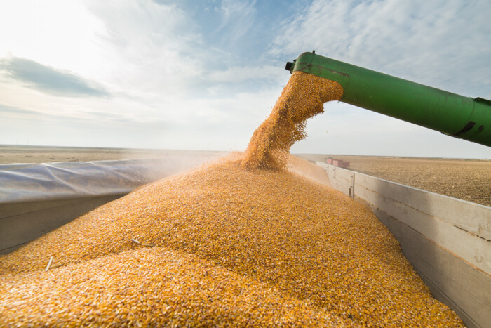ЄС планує «знищити» попит на зерно з РФ та Білорусі