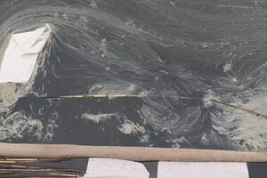 Озеро в Туреччині вкрилось чорними плямами через аварію нафтопроводу