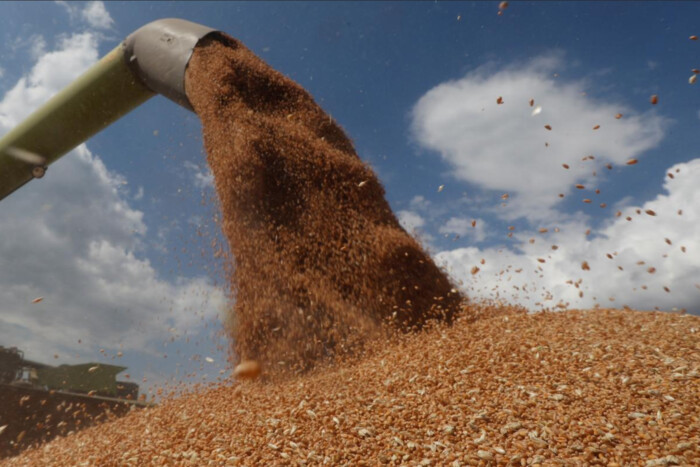 Стало відомо, в які країни Росія вивозить крадене українське зерно