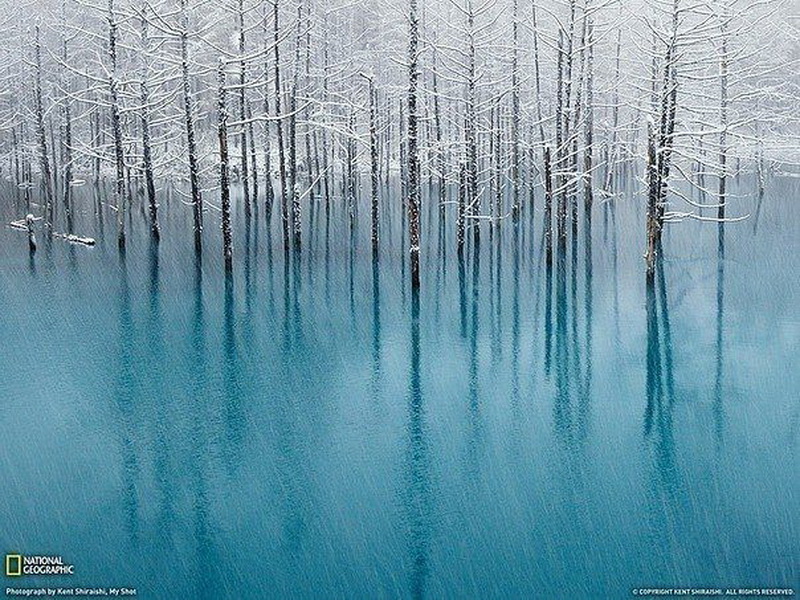 Blue Pond ("Голубой пруд"), Хоккайдо в Японии.