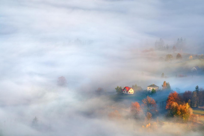 Среди тумана. Автор фото: Марцин Собас