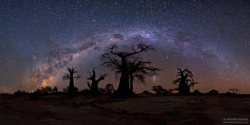Звёздная ночь. Автор фото: Хендри Вентер 
