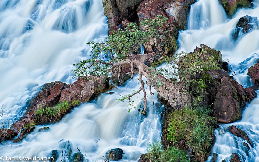 Водопад Эпупа и баобаб. Автор фото: Фанус Велдхаген 