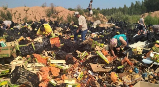 За день в России уничтожили 320 тонн продуктов. O-00325862-n-00315448