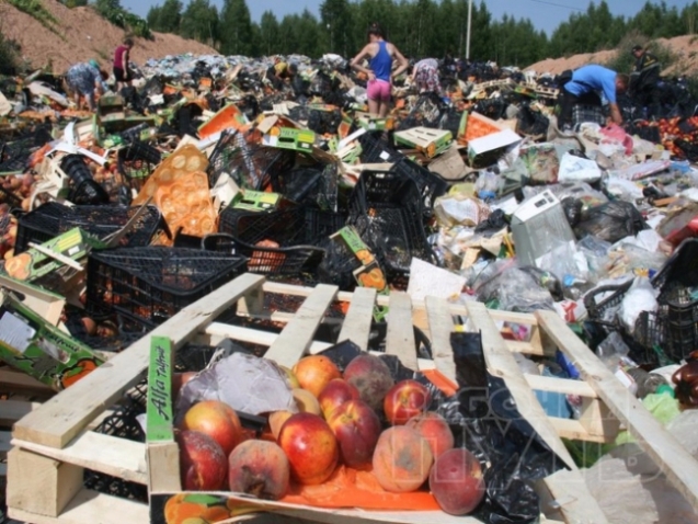 За день в России уничтожили 320 тонн продуктов. O-00325864-n-00315448
