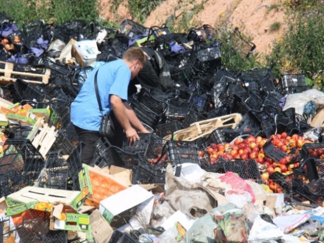 За день в России уничтожили 320 тонн продуктов. O-00325868-n-00315448
