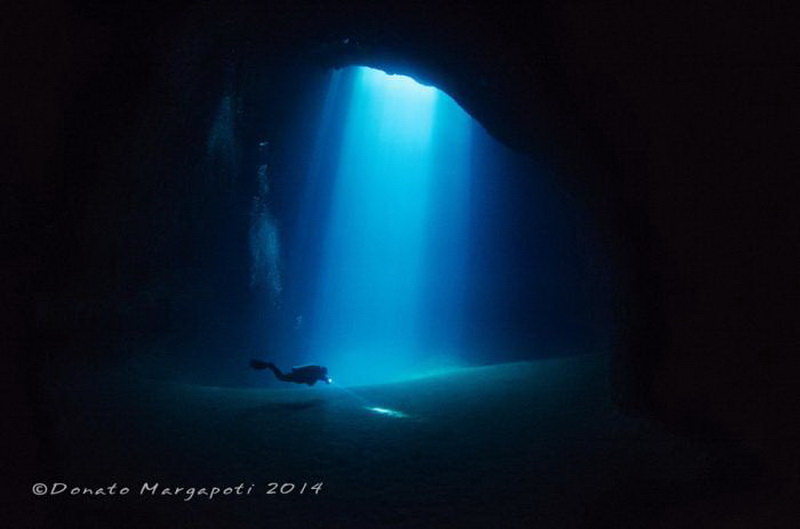 Красивые подводные фотографии, от которых замирает дыхание (фото 2)