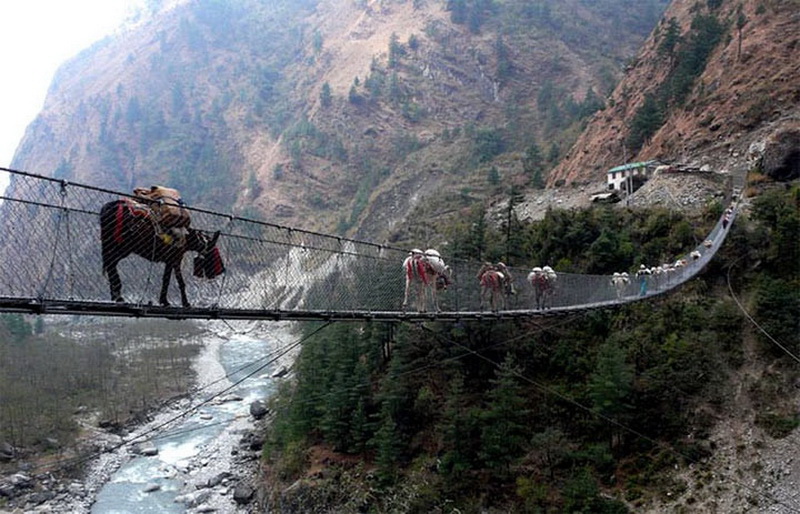 Подвесной мост Гхаса — Непал.  Этот мост выглядит очень старым и ветхим, однако активно используется каждый день и по нему передвигаются не только люди, но и животные. Так что, решившись на переход, подумайте сначала как разминуться с ослом на середине.