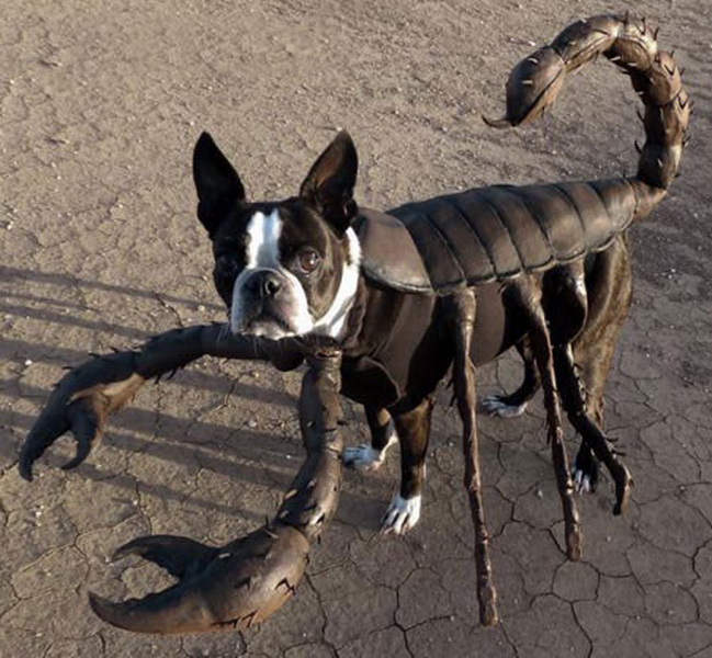 Собака-скорпион