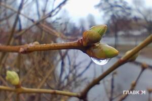 На півдні та сході країни синоптики очікують невеликих короткочасних дощів