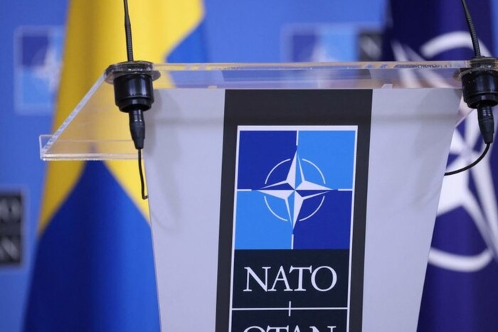 Не кращий рік. Нардепка Устінова пояснила, чому гальмується запрошення України до НАТО
