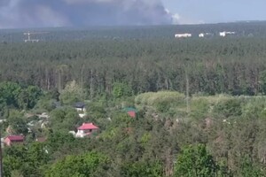 Під Києвом у суботу вирувала лісова пожежа 