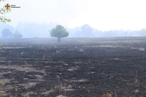 Вогнеборці показали наслідки масштабної лісової пожежі під Вишгородом