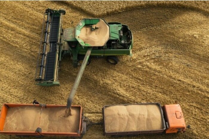 Росія втратила майже 20 млн тонн врожаю зерна – ЗМІ
