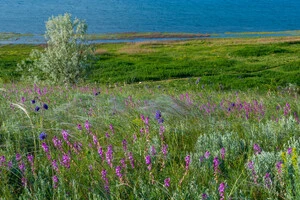 30 мая – День степи в Украине