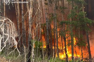 Лісова пожежа на Харківщині