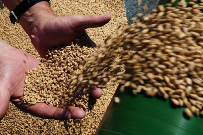 Офіс генпрокурора розказав, як бореться з тіньовим експортом зерна