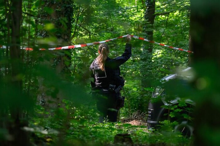 Підозрюваний у вбивстві  української дівчинки в Німеччині затриманий у Чехії