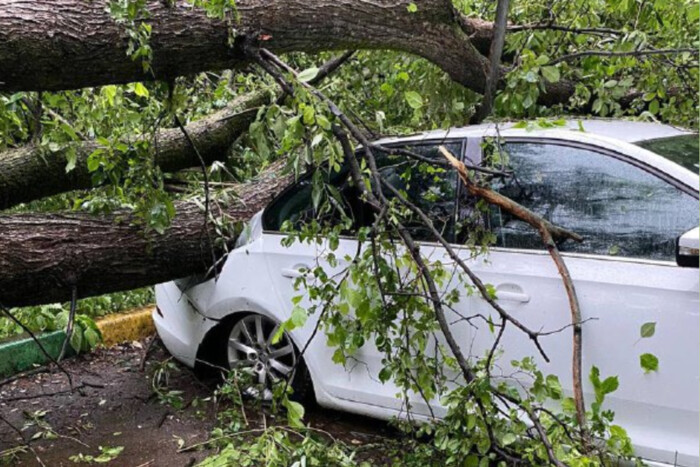 Дерева і шматки покрівель падають на людей: у Москві вирує ураган, є загиблі (відео)