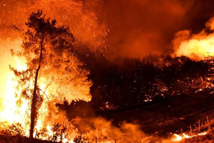 Потужні лісові пожежі охопили кілька регіонів Туреччини (фото, відео)