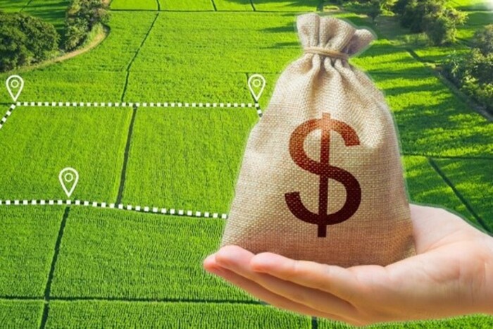 Золотий гектар: ціни на українську землю сягли рекорду