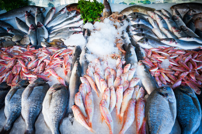 Цены на рыбу растут: сколько стоит карп, скумбрия и сельдь