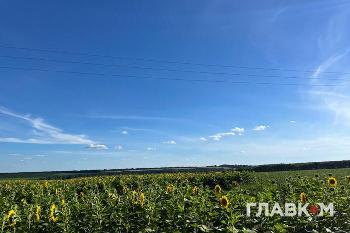 Аномальна спека в Україні: коли та у яких областях очікувати 41° тепла