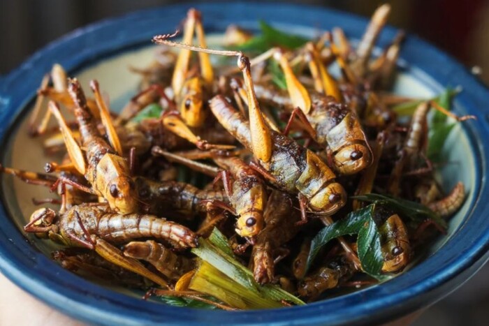 Влада Сінгапуру схвалила деякі види комах як їжу – CNN