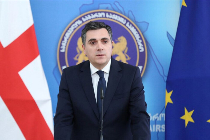 Зупинка Євроінтеграції: глава МЗС Грузії зробив заяву