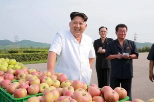КНДР вирішила «здивувати» росіян своїми фруктами