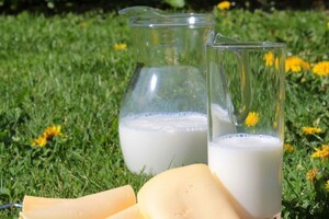 В Україні зросте вартість молочних продуктів
