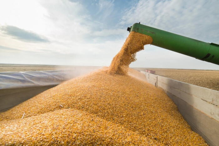 Польща розпочала перевірку понад пів сотні компаній через українське зерно