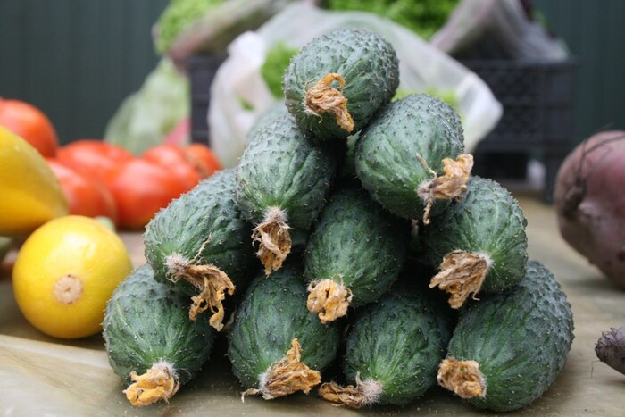 Огірки б'ють по кишені: ціни на популяний овоч різко зросли