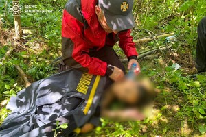 На Львівщині рятувальники знайшли дитину, яка зникла тиждень тому