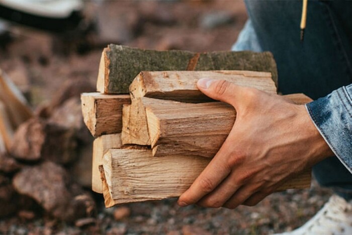 Мешканці деяких регіонів  зможуть безкоштовно заготовляти дрова, але за умови