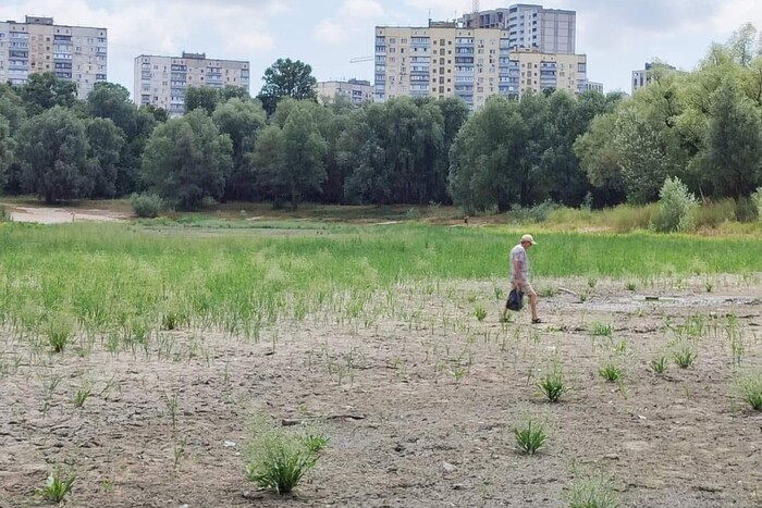 Порятунок унікального озера у Києві: громадськість б'є на сполох