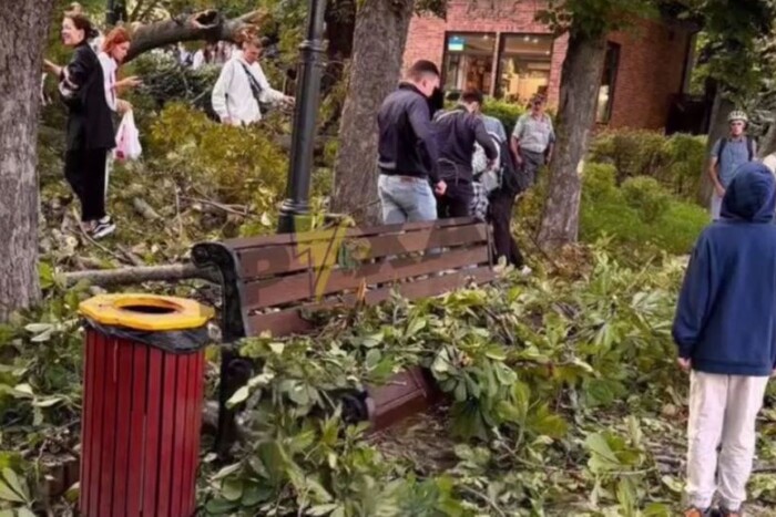 У столичному парку Шевченка впало велике дерево, четверо людей постраждали
