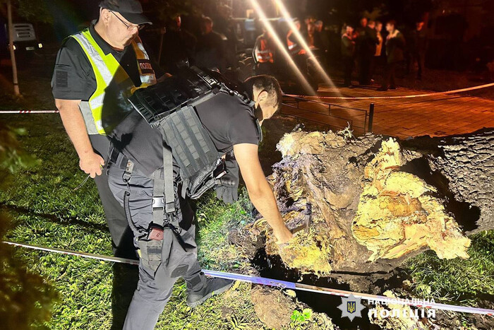 Внаслідок падіння дерева у столичному парку Шевченка загинула людина