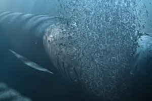 26 вересня 2022 року три з чотирьох труб газопроводу «Північний потік» були підірвані