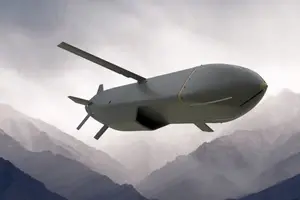 Запрос, отправленный в Вашингтон более месяца назад, все еще ожидает ответа